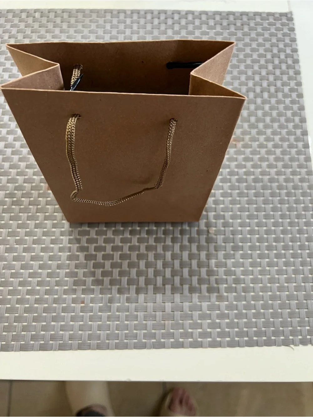 Set of 24 Small Kraft Paper Gift Bags with Rope Handles